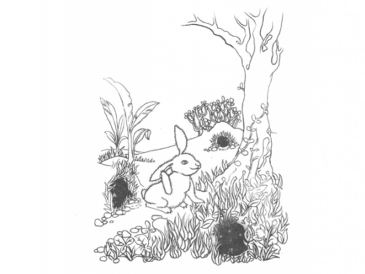 炒股仓位控制技巧图解大全,炒股靠技术能赚到钱吗