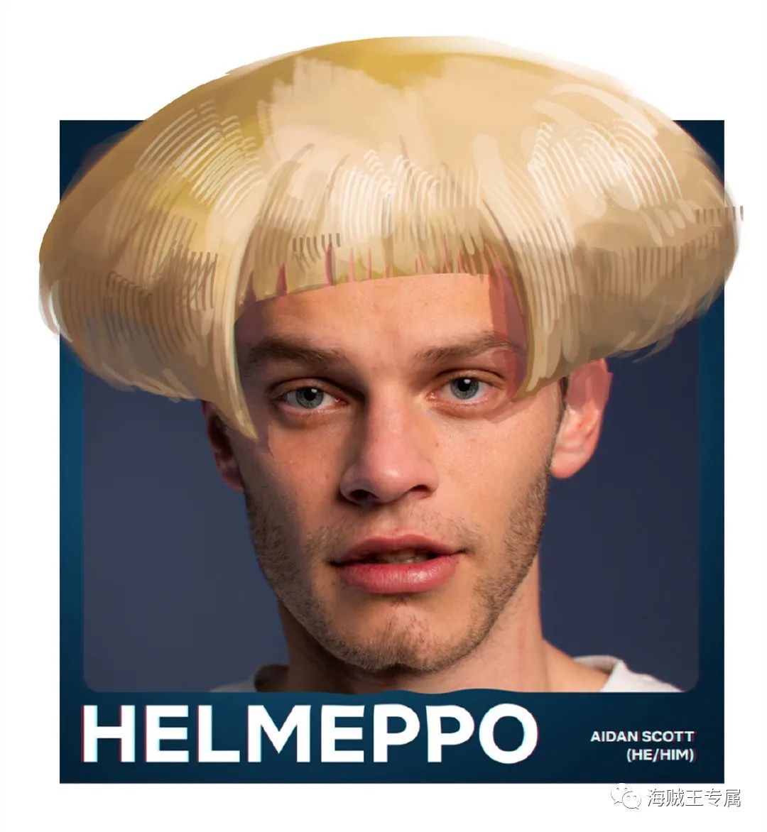 海贼王真人版谁来演,真人海贼王演员