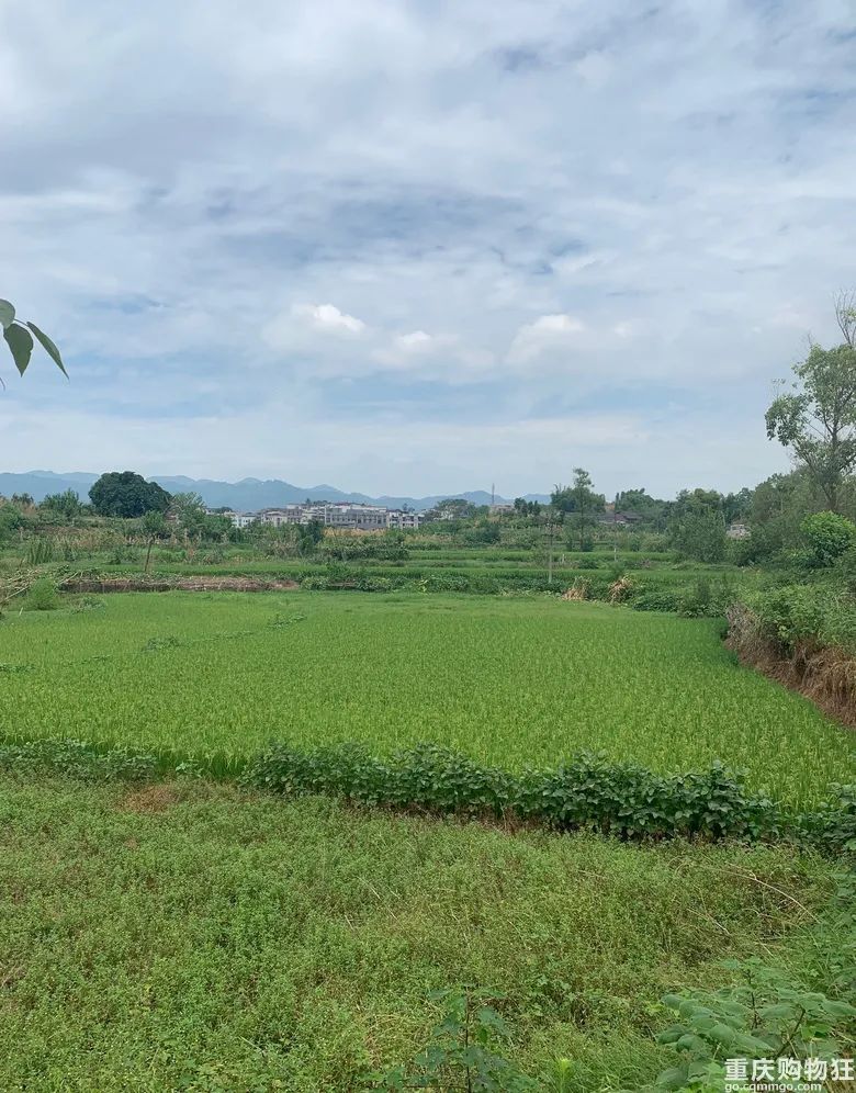 恒温18度避暑好去处,恒温18度地下溶洞