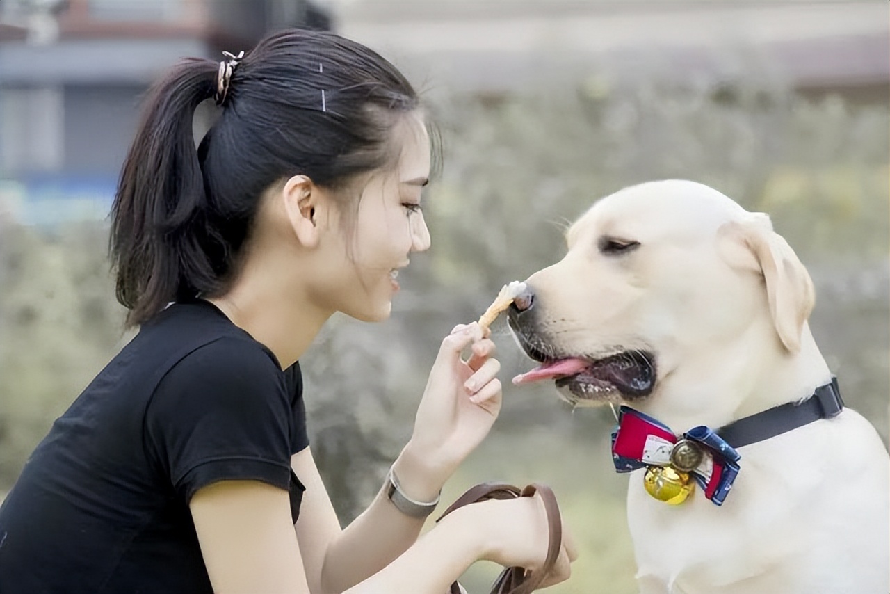 养狗到底是不是败家,养狗真的臭吗