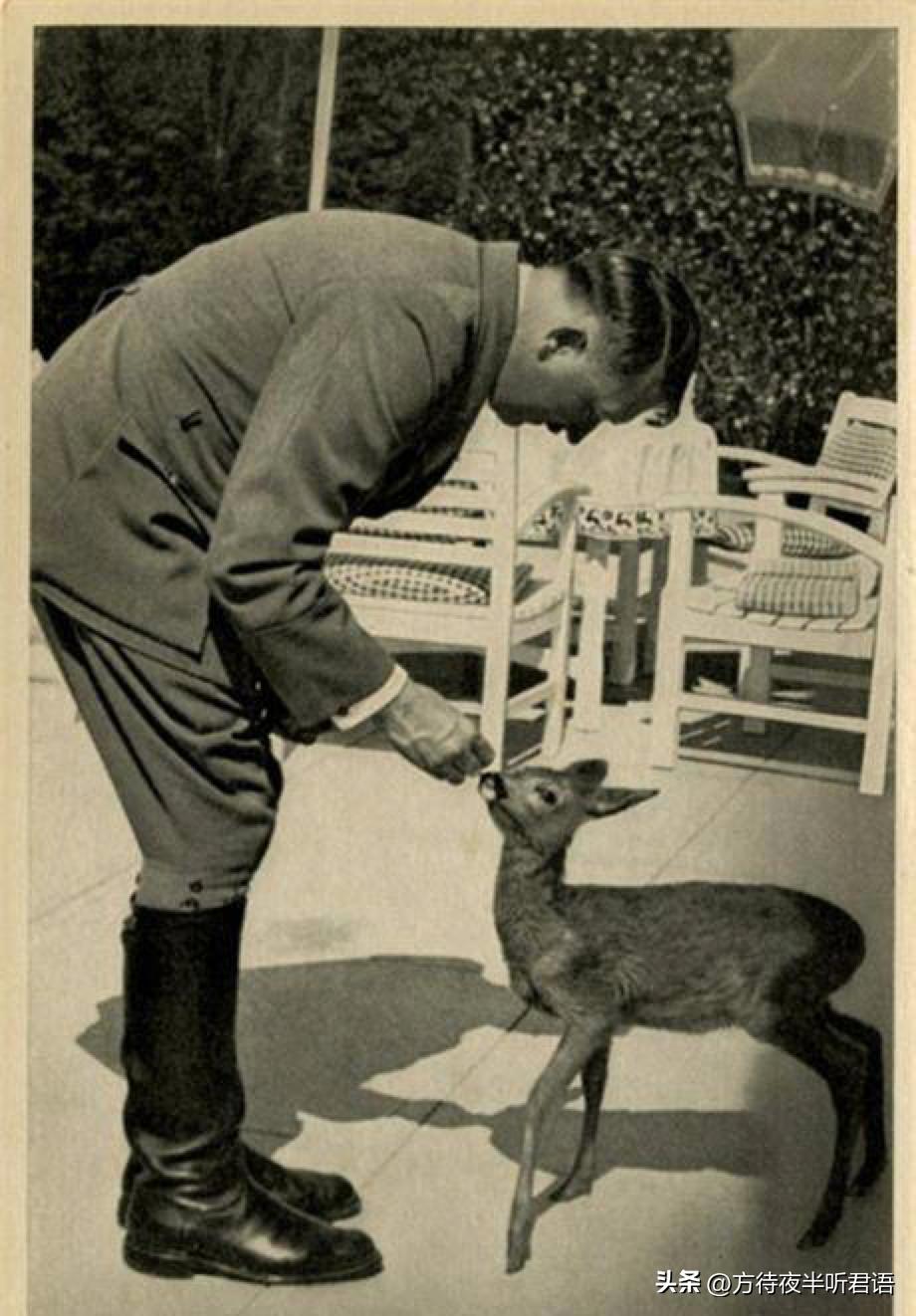 100张老照片见证世事沧桑,难得一见的老照片岁月是把杀猪刀