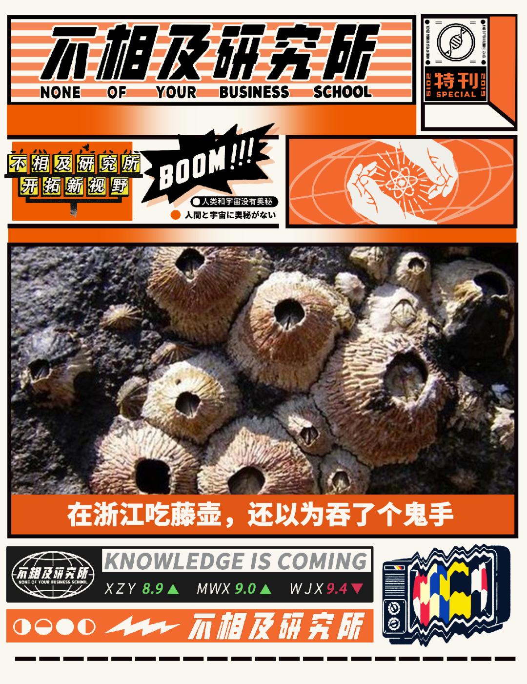 中国人吃藤壶,哪个地方的人吃藤壶