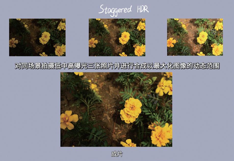 iphone12pro主摄传感器,顶级影像传感器