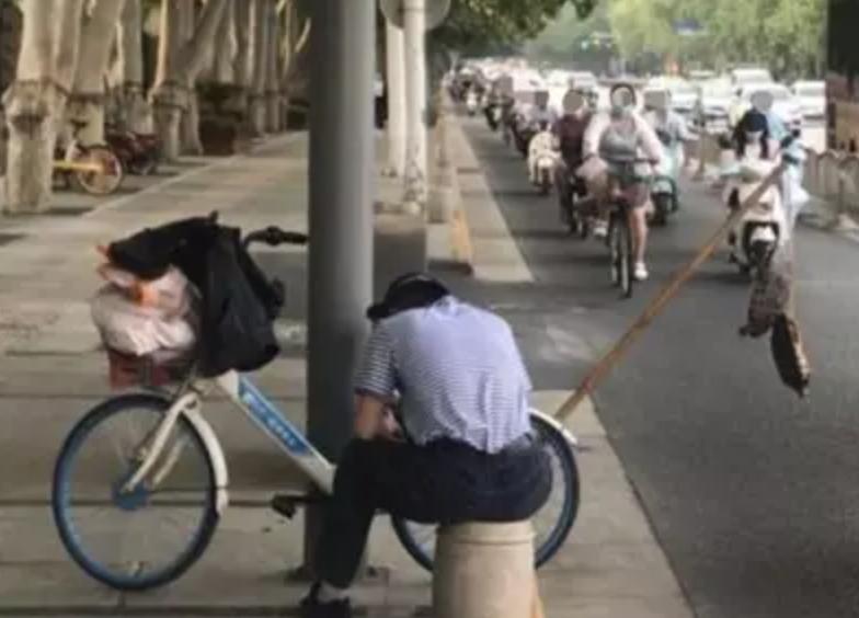 买了一只乌龟有什么预兆,路边800块钱买6只大乌龟