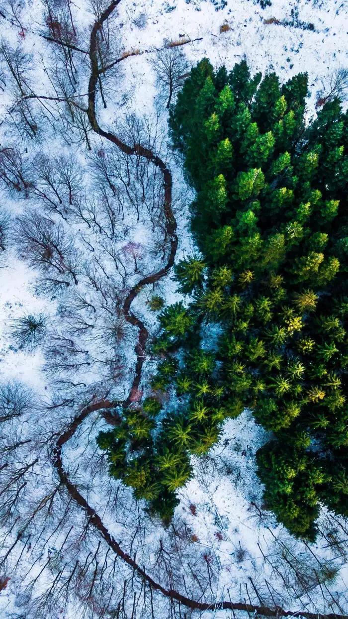 最惊艳的自然风景手机壁纸超清,风景壁纸动态壁纸高清全屏90帧