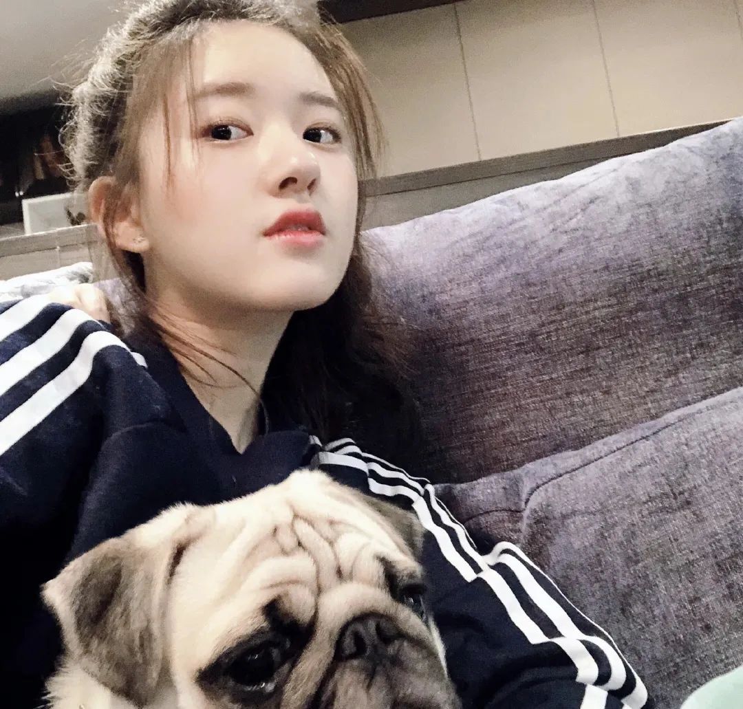 赵露思表情包头像,下载赵露思爱豆头像