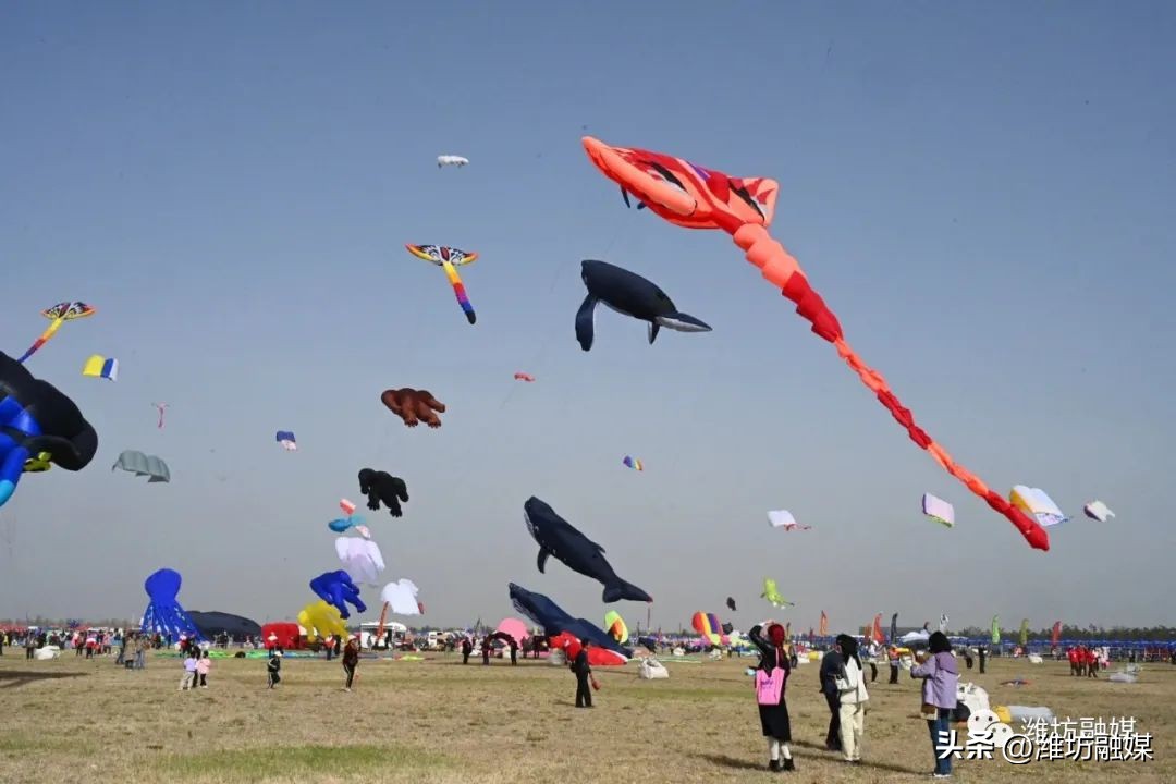 开幕照片视频,最新开幕式片段