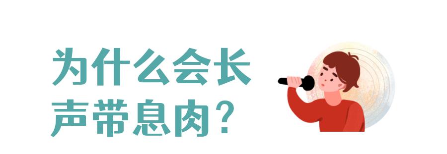 声生不息唱歌给你听,声生不息综艺节目在线观看