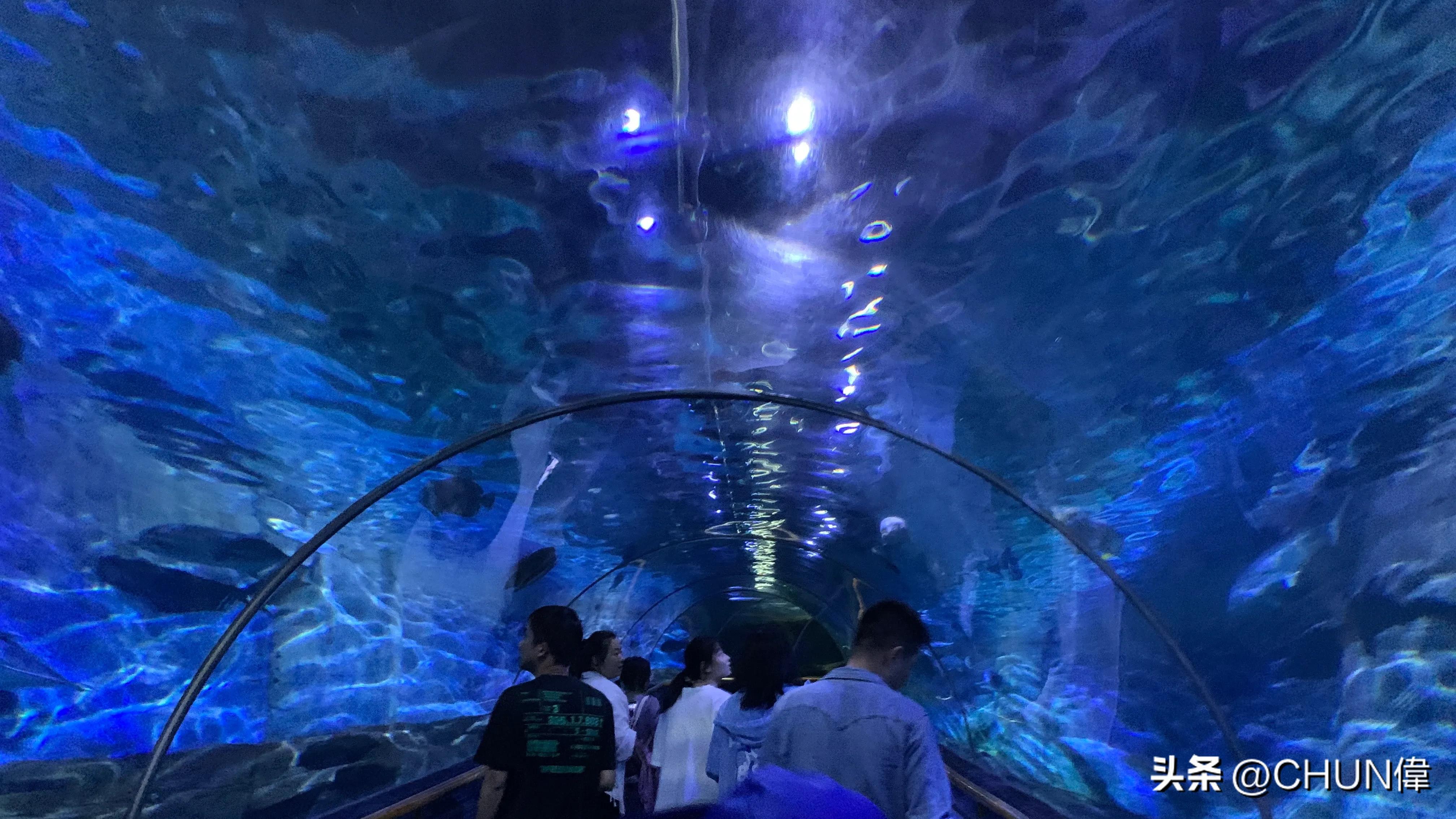 自由行厦门鼓浪屿四天怎么安排,鼓浪屿一日游五一