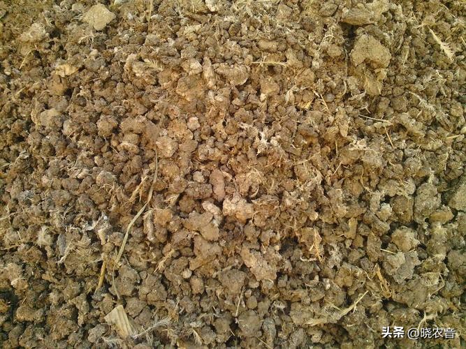 鸡场养殖基地的屎怎么处理,关于鸡场粪便处理的规定