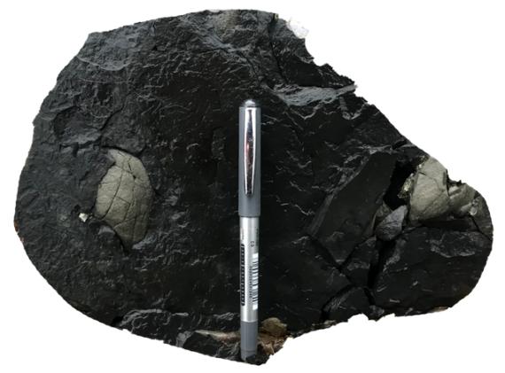 页岩气到底有多厉害,页岩气是什么资源