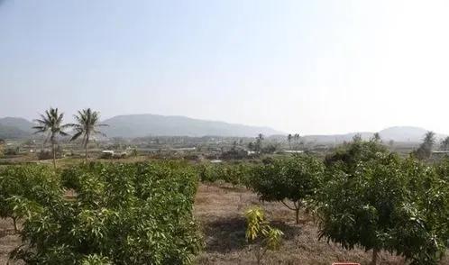 陵水的这些小众景点你会选哪个呢,海南旅游小众城市陵水哪里