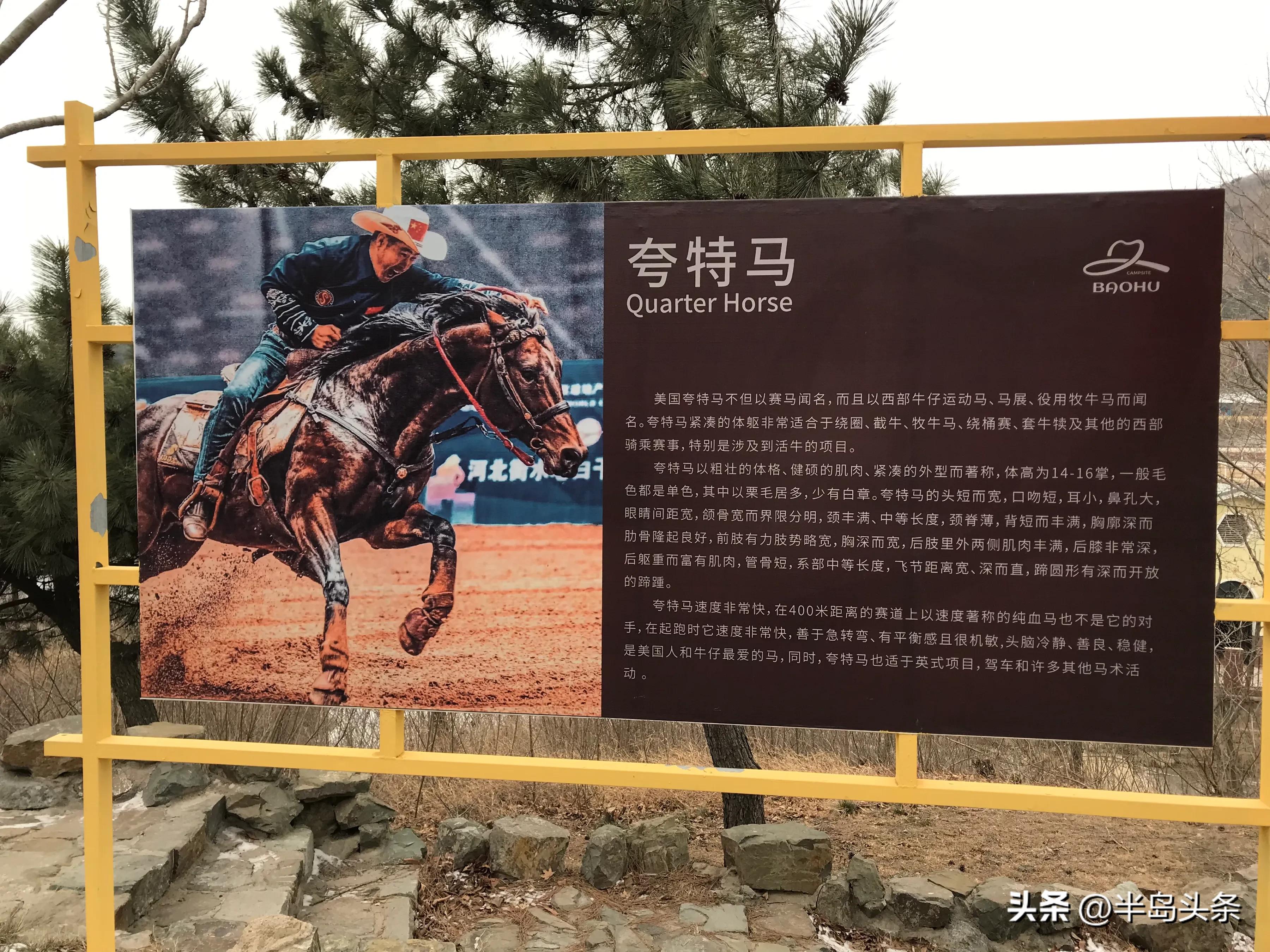 即墨田横宝湖奔马园怎么样,即墨田横宝湖奔马园在什么地方