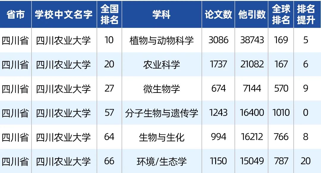 在四川大学报考什么专业好就业,四川的大学值得报考的好专业
