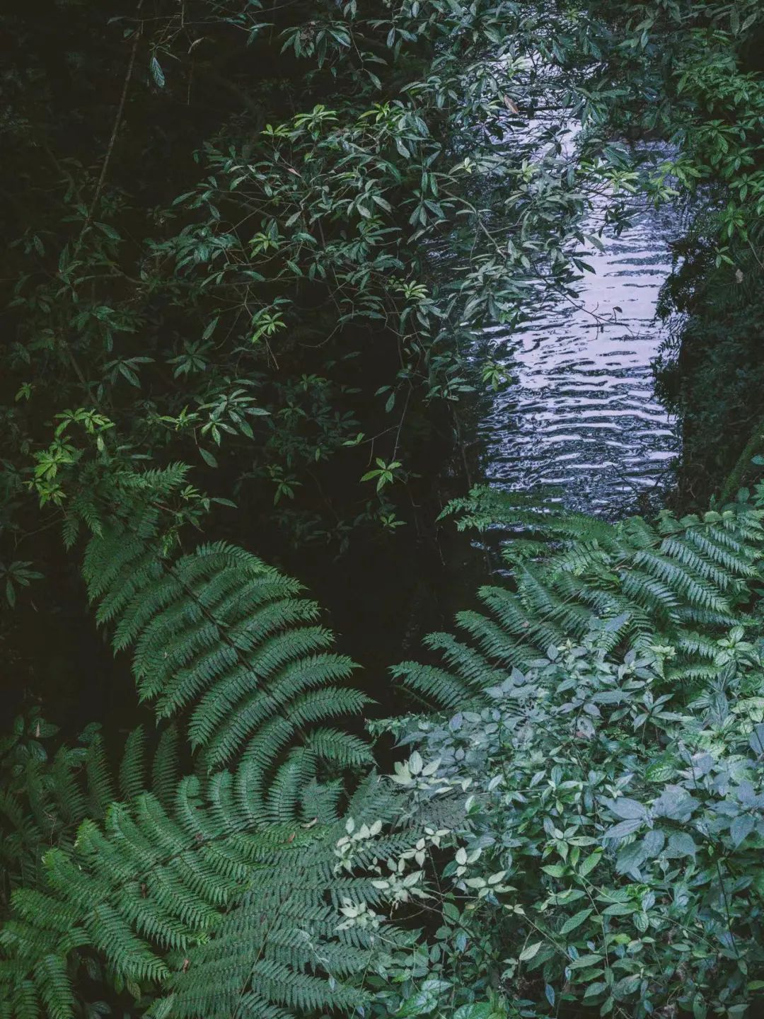 比成都好吃的火锅店,这座小城比杭州撩人美食不输潮汕