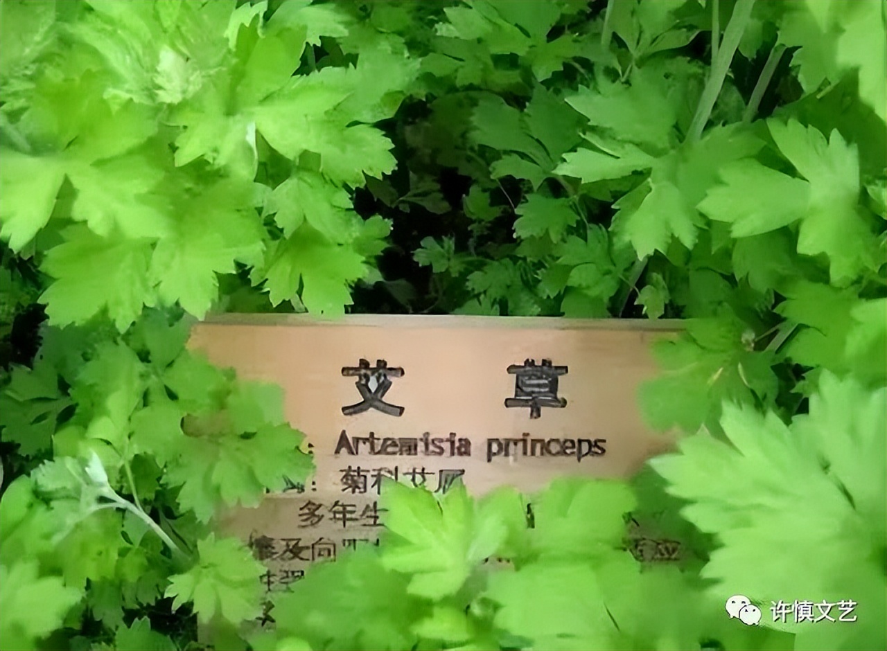 悠悠艾草香,悠悠艾草香香包