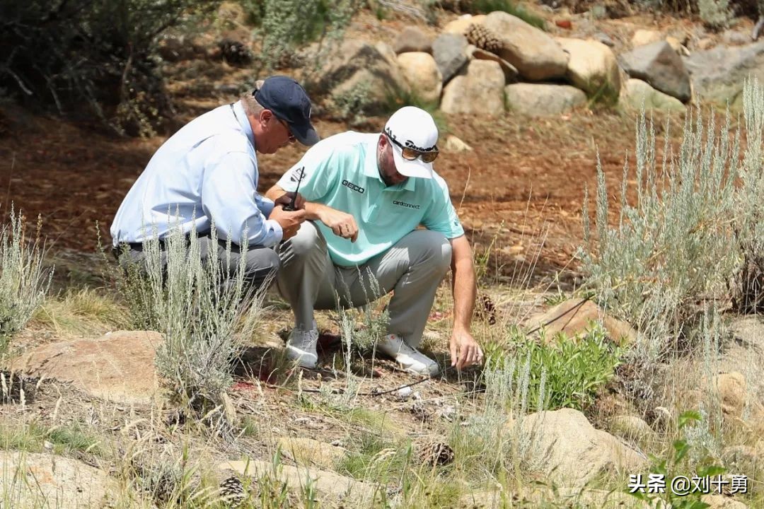 高尔夫球新规什么情况下可以动球,高尔夫球新规什么时候改的