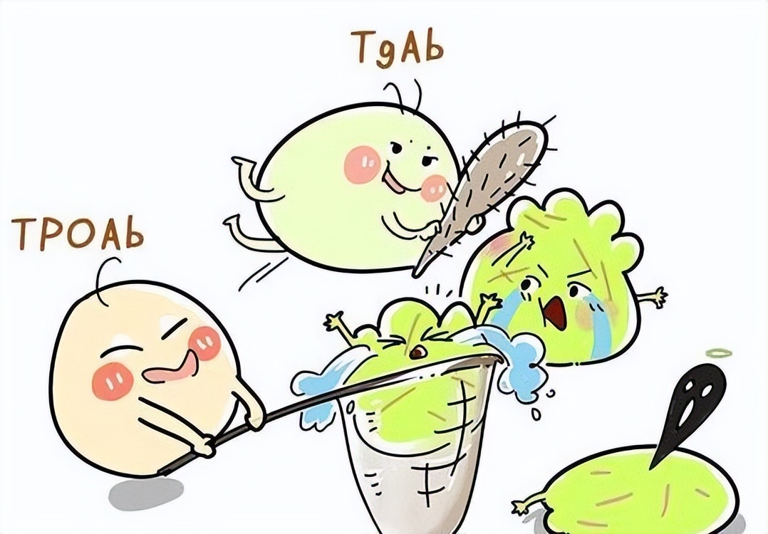 甲状腺抗体高怎么处理,甲状腺抗体两项都高怎么办