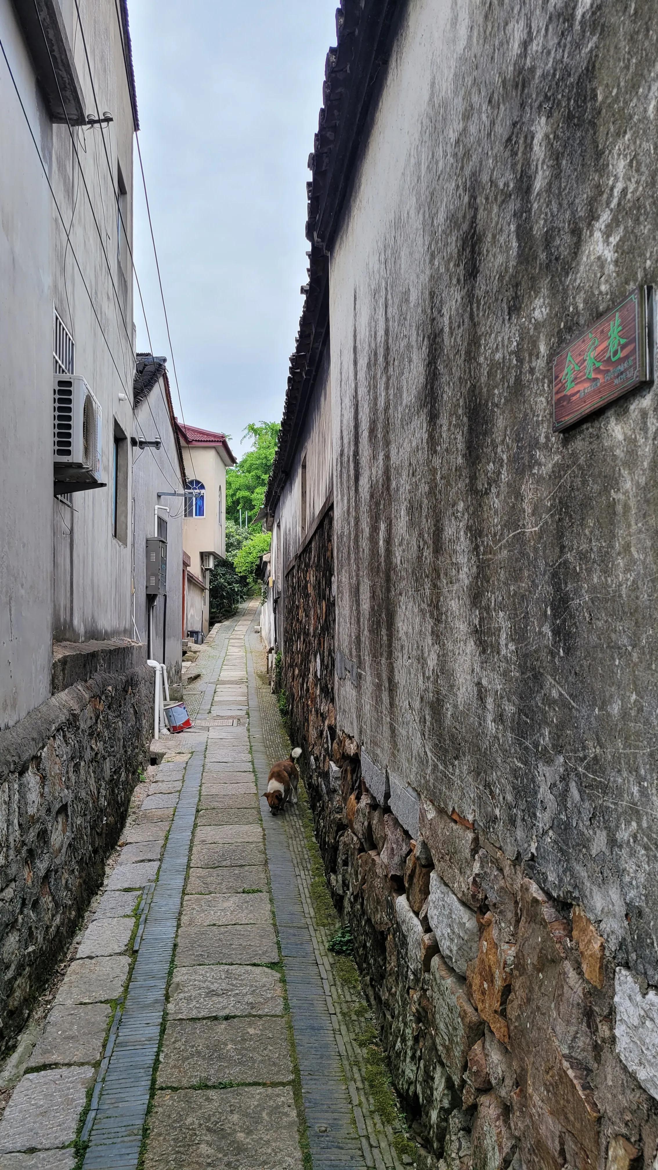 东山杨湾古村看杏叶,东山杨湾古村怎么进去