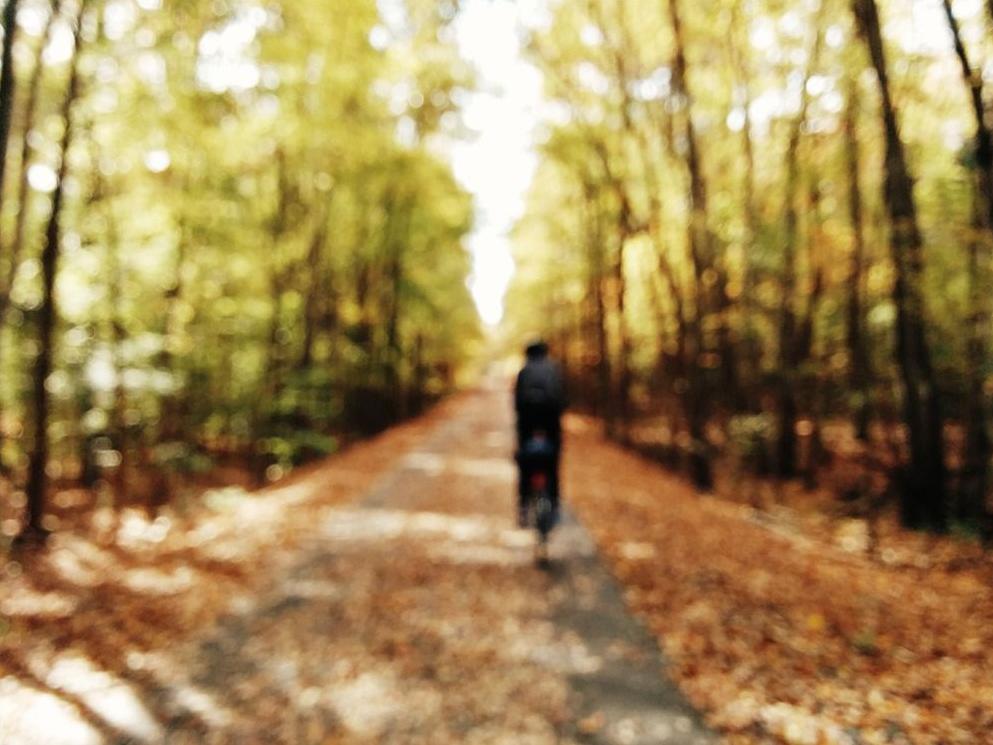 拍出来既高清又白的相机参数,相机照片风格参数设置