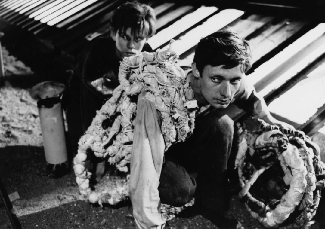 肖申克的救赎抄袭哪部电影,越狱跟肖申克的救赎