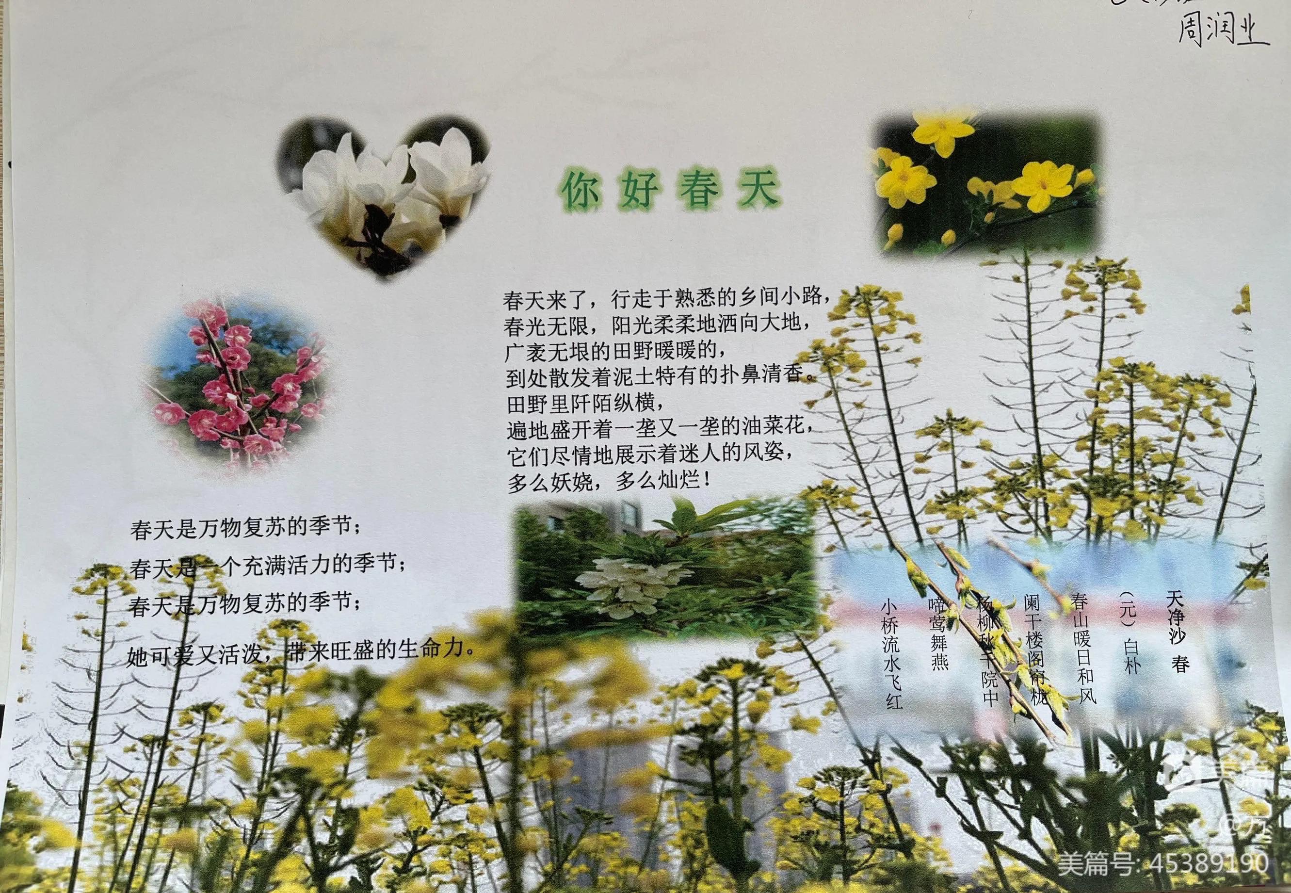 找春天手抄报二年级,一年级寻找春姑娘的手抄报