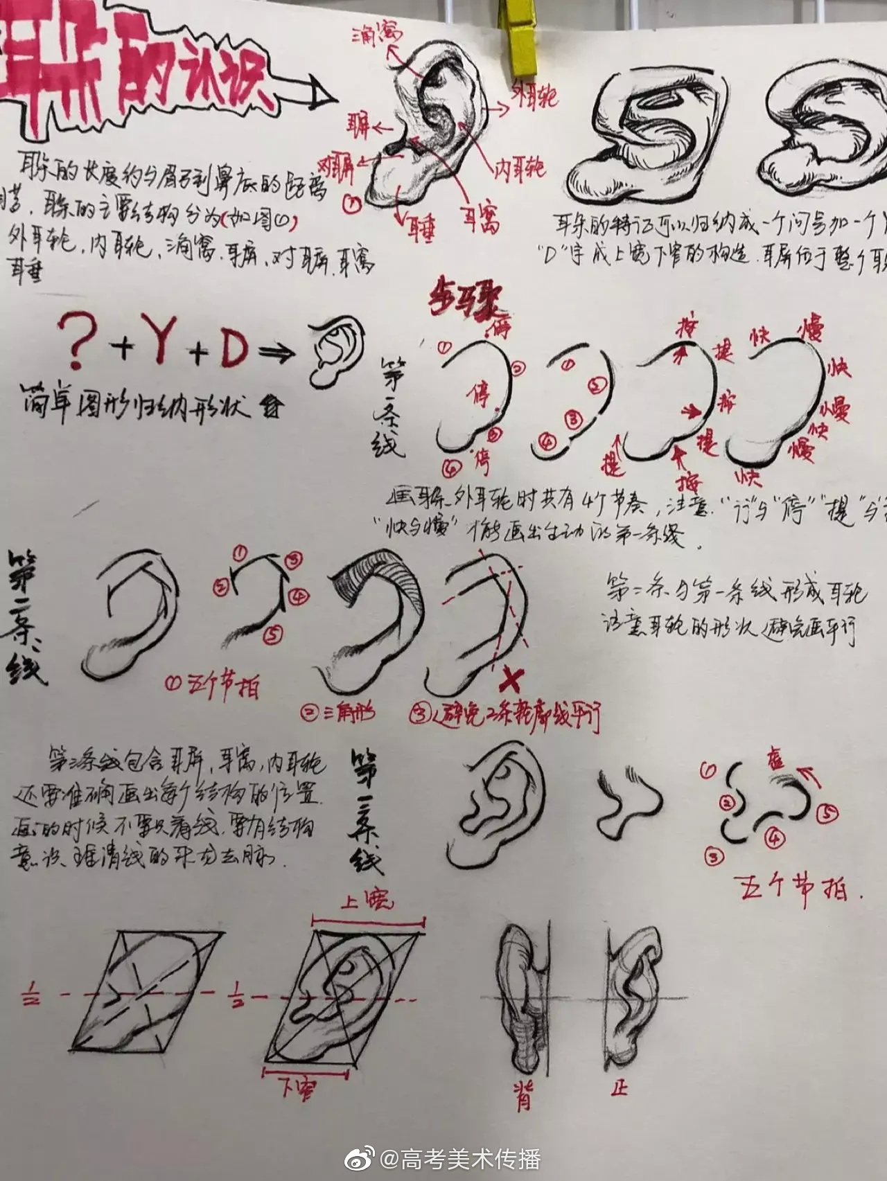 广州美术网校，课程那么多总有一款适合你