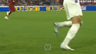 塞斯科哈兰德,塞斯科和哈兰德对比