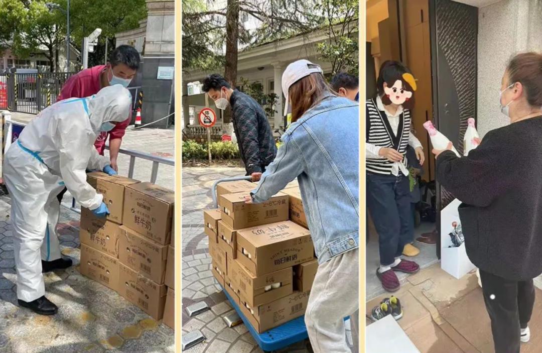 每日鲜语用一个「抱抱」，治愈了上海