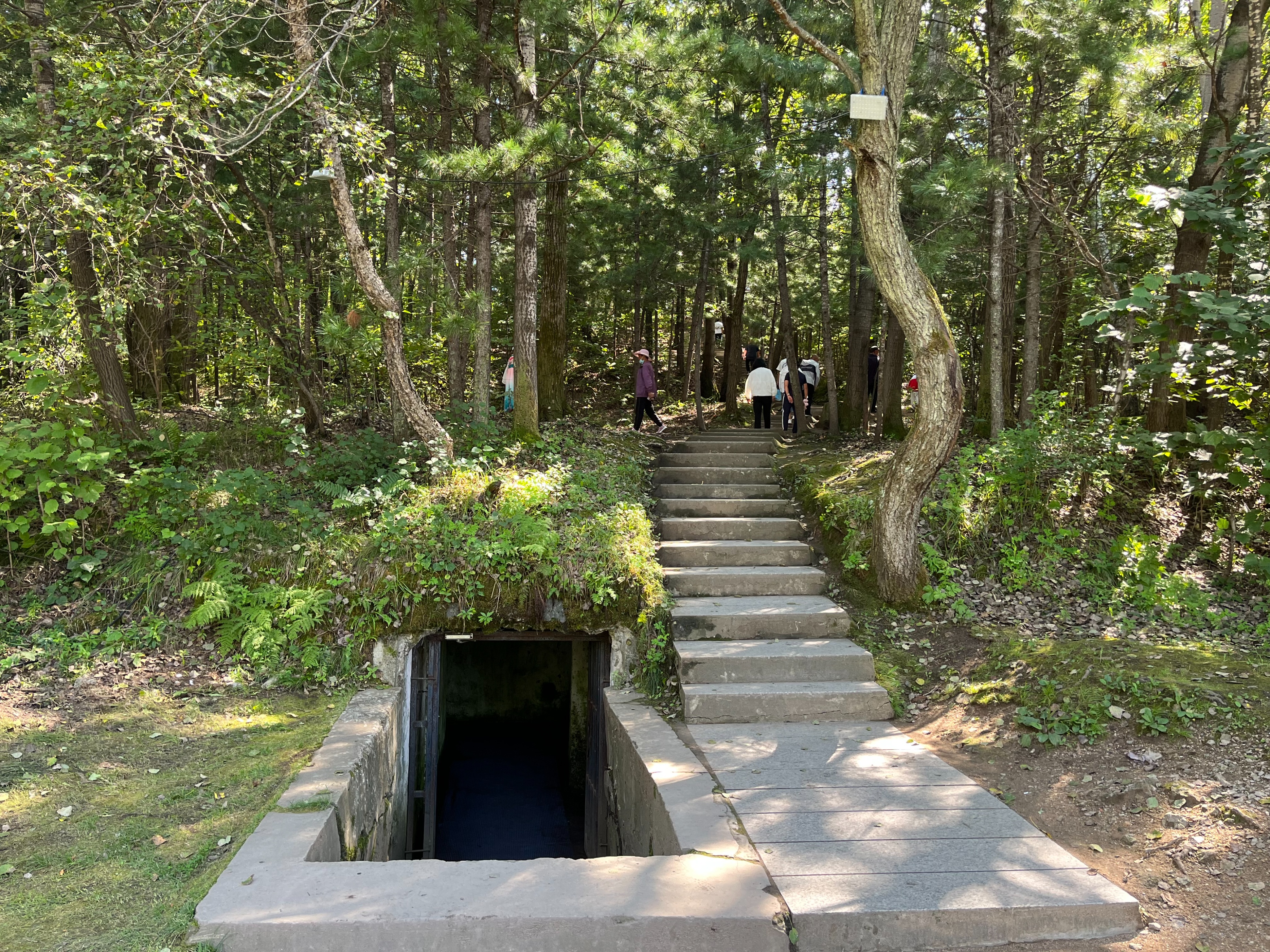 夫妻自驾11000公里,夫妻两人自驾游最新视频