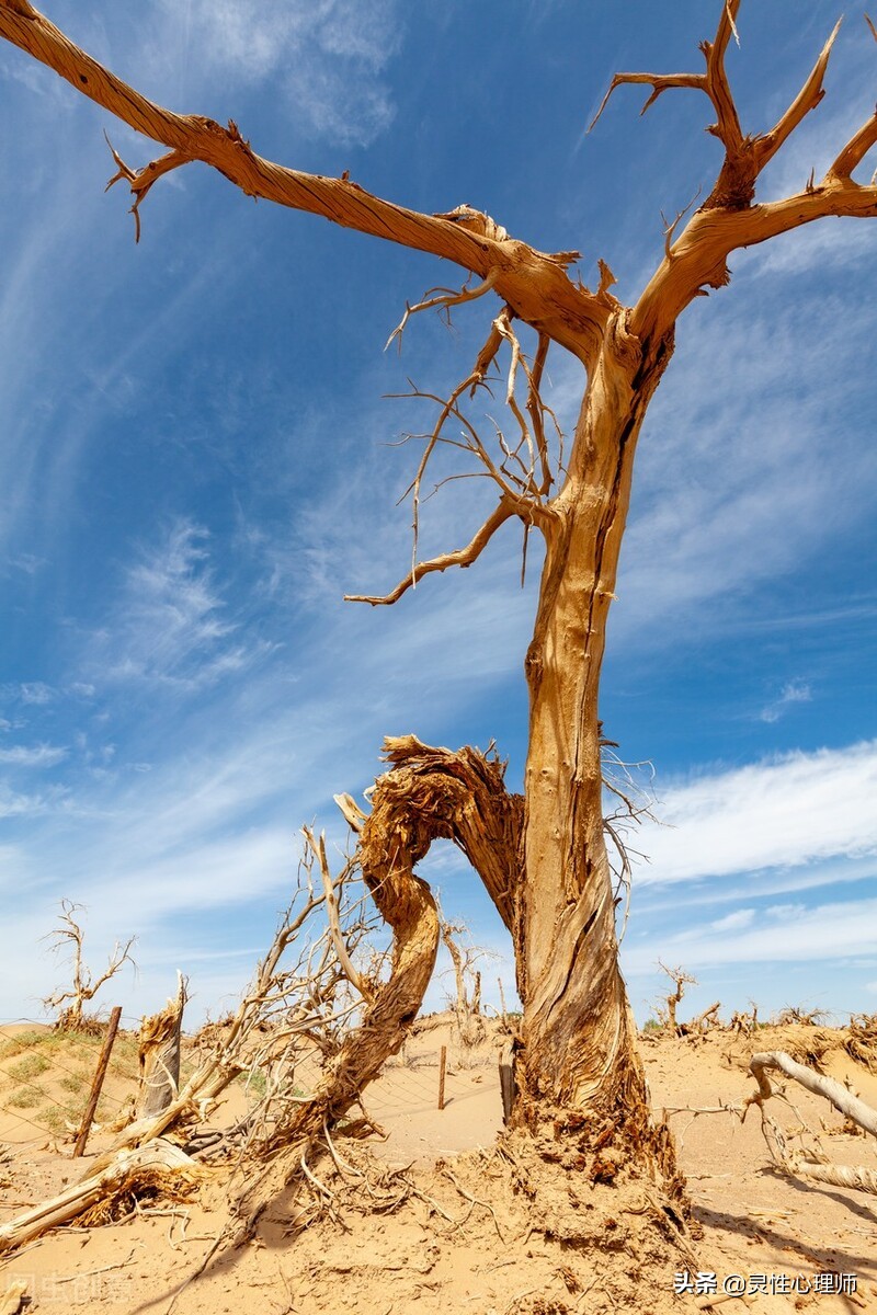 亲人去世该做的事,如果亲人去世了需要做什么