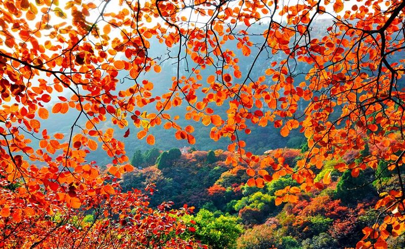 临朐小城,潍坊的临朐县