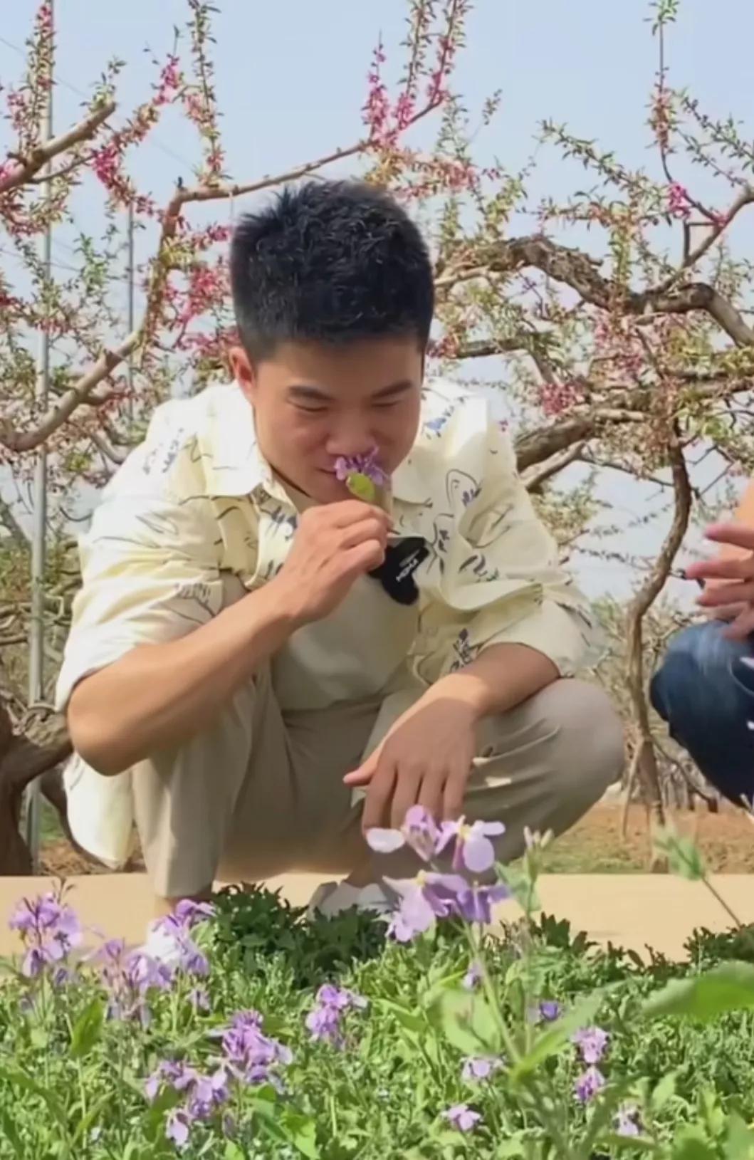 董宇辉拒绝掉千万广告费,董宇辉拒绝千万广告费热搜