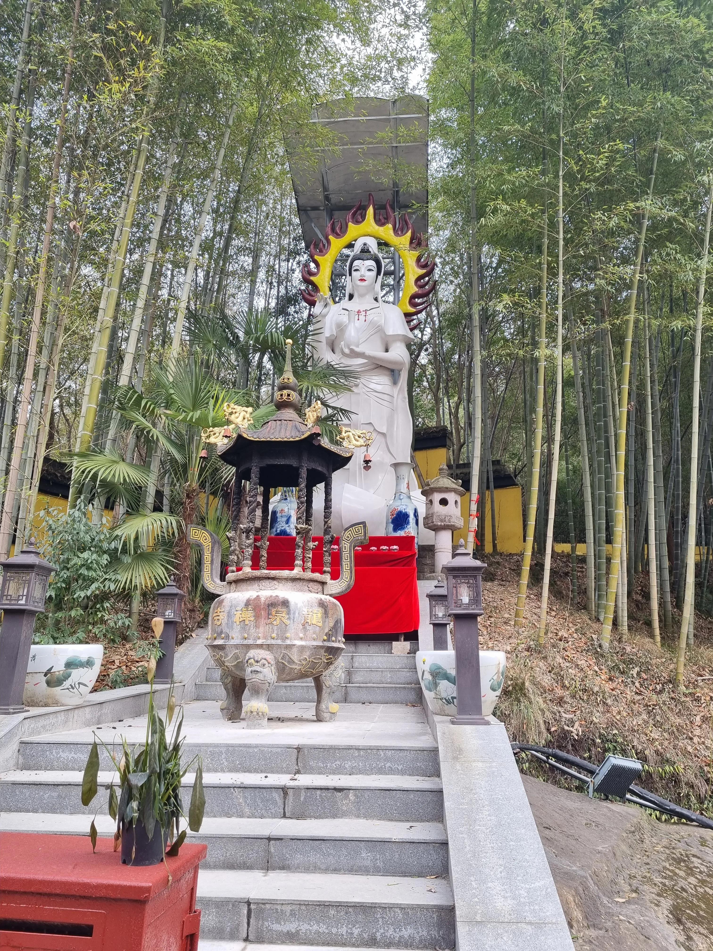 南京龙泉寺。寺里有一棵唐朝的腊梅树。