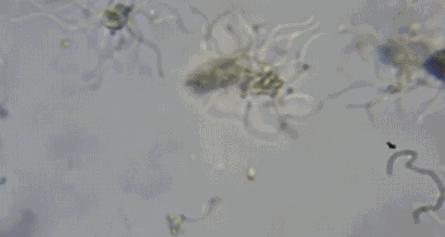 厨房用品必买清单50-100元,相见恨晚的5件厨房好物