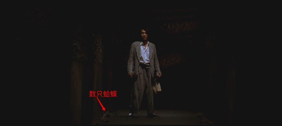 功夫冷知识2018,冷知识少林功夫