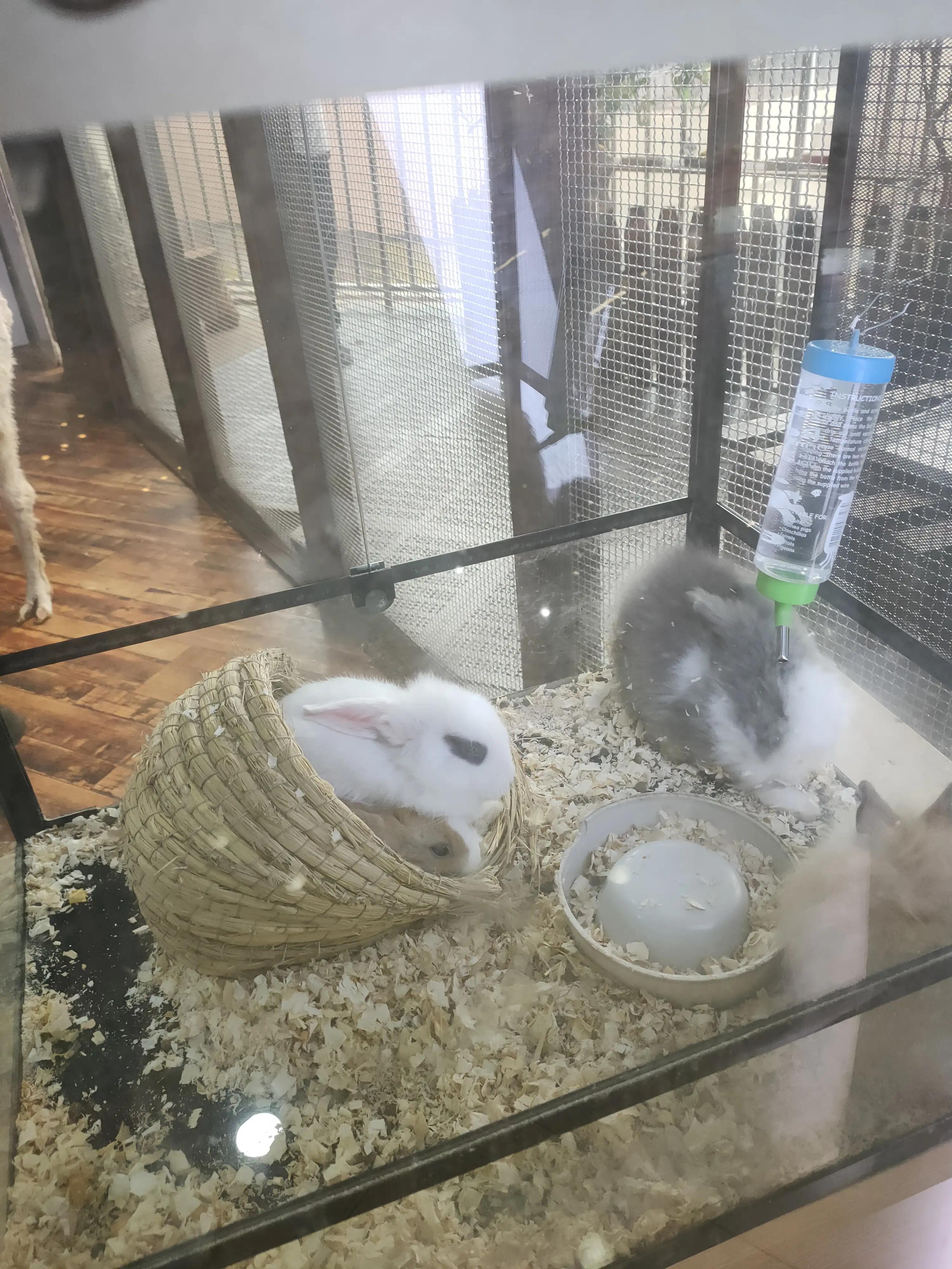 松江开元地中海避风塘,上海市松江区开元地中海