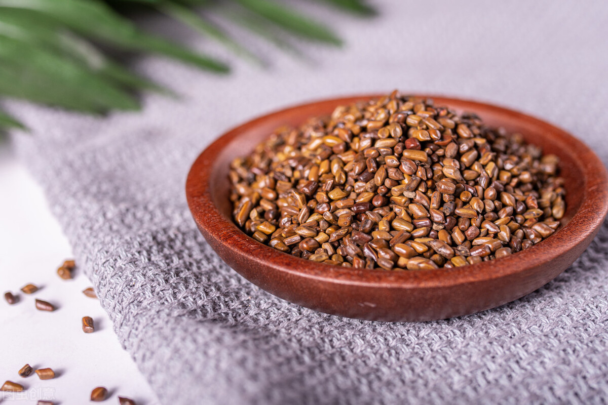 决明子是不是像绿豆,决明子为什么叫假绿豆