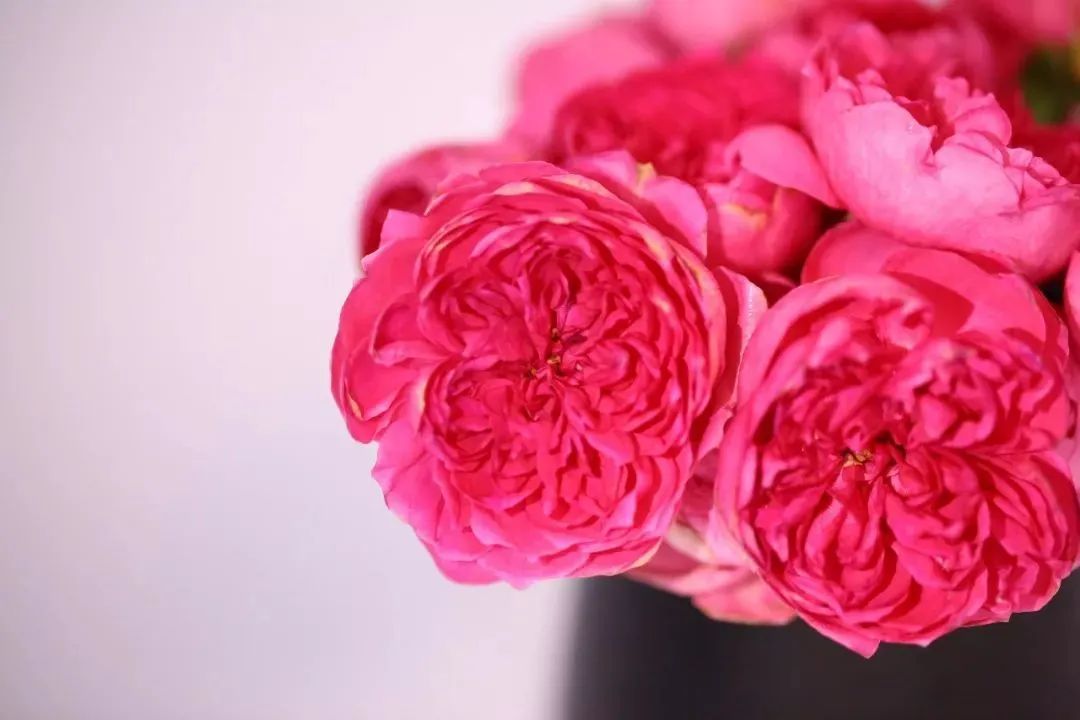 观手知健康月牙,看手上的月牙能判断健康吗