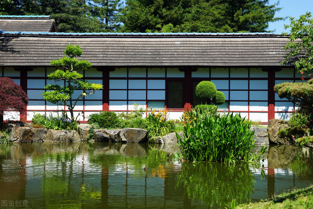 从世界首富到世界首负,首富跌落神坛后续