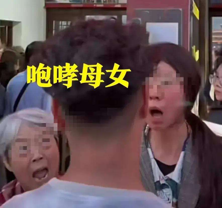 浙江插队母女发声回应,插队母女本人回应