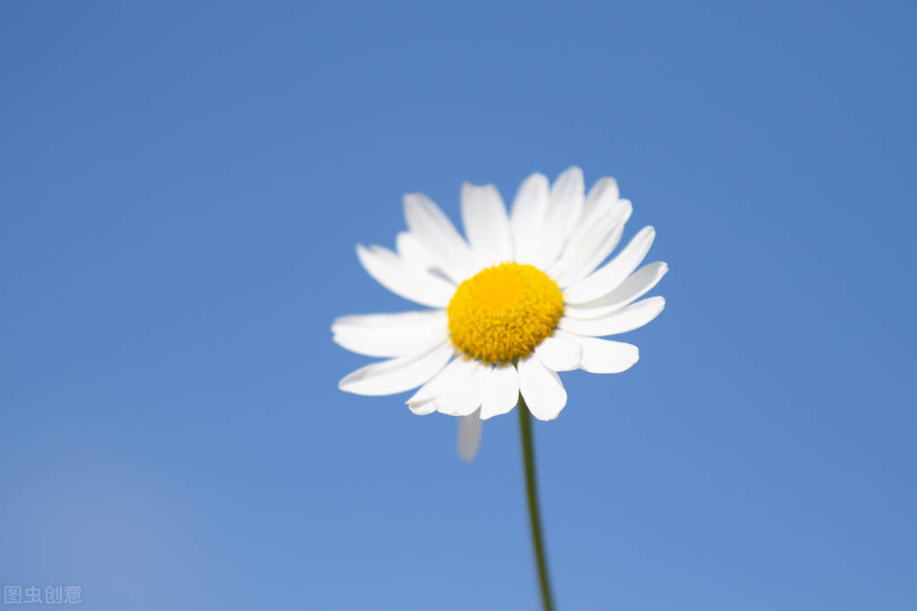 写给女孩子的六条人生建议,99条简单实在的人生建议