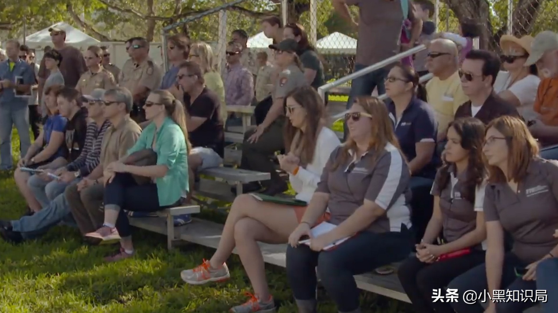美国再遭生物入侵，30万只缅甸蟒泛滥成灾，最大能长9米，400斤重