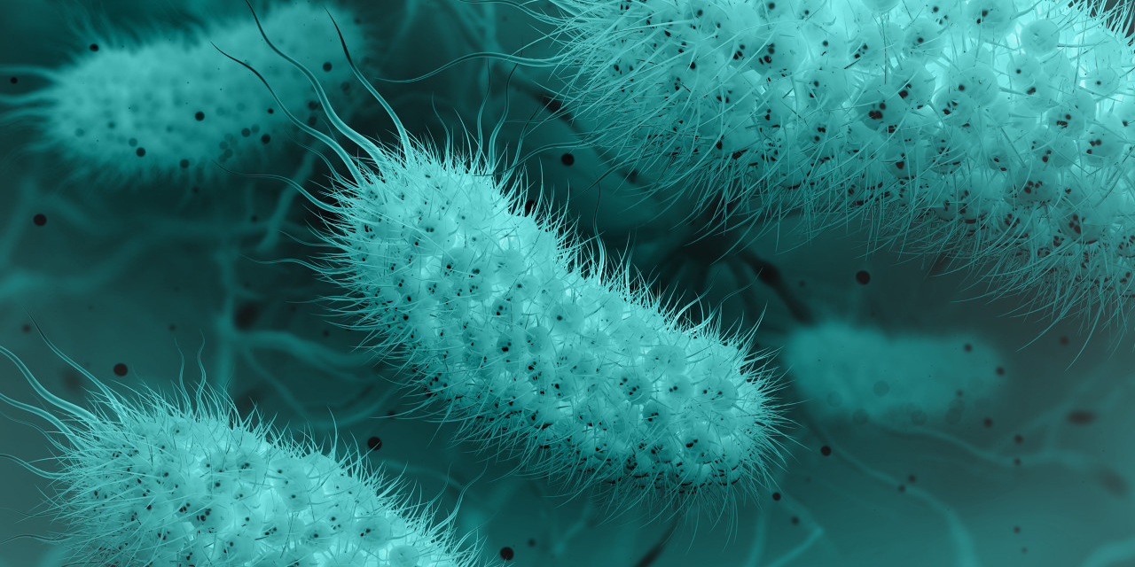 重磅：人体阴道菌群移植实验再获成功！