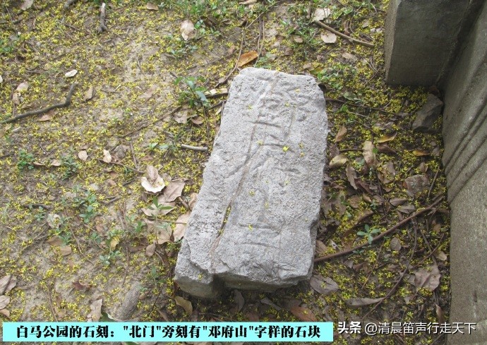 白马公园白马石刻朝代,公园石刻精品欣赏