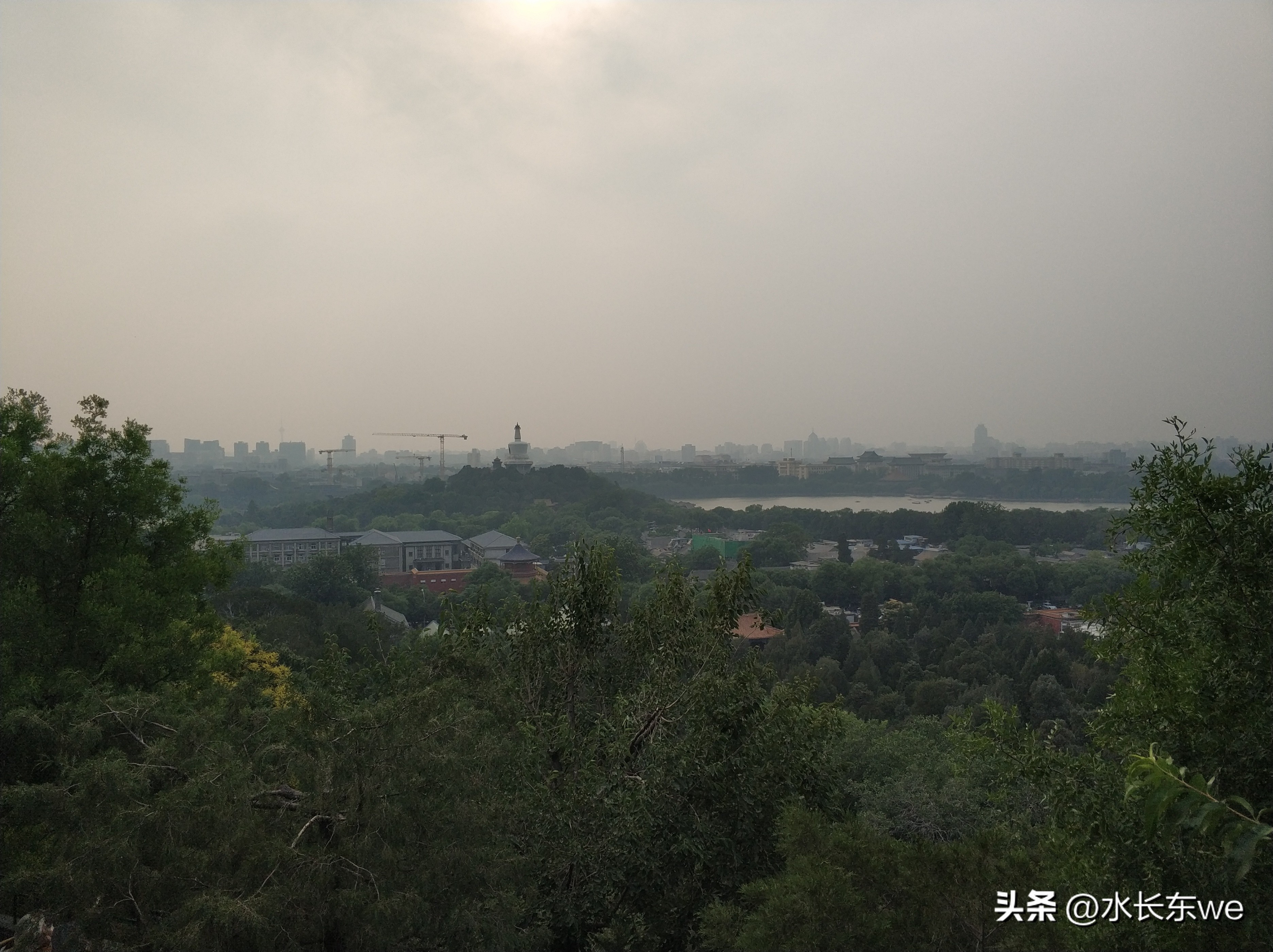 景山公园游览,京城景山公园满园春色