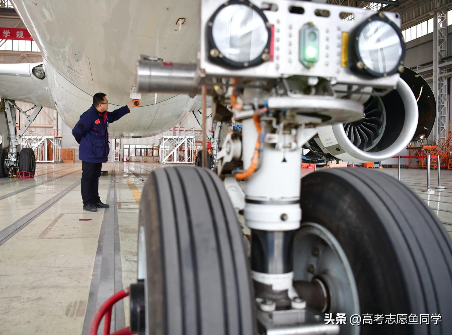 有哪些冷门实用的专业推荐,大学专业最有前景的十大专业