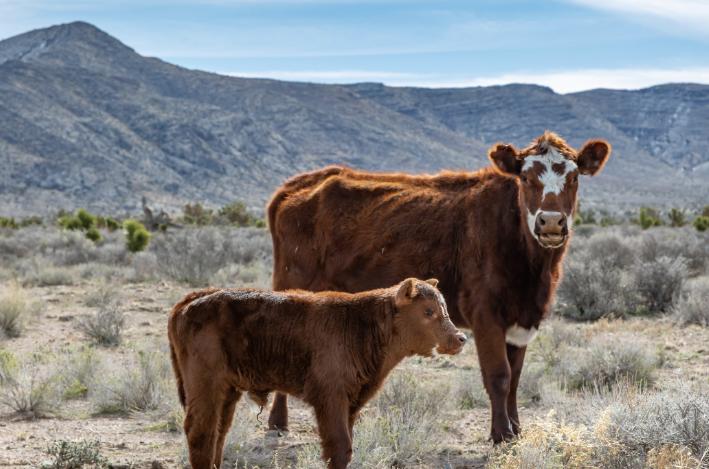 发达国家对农业多实行财政补贴,发达国家对农业的政策