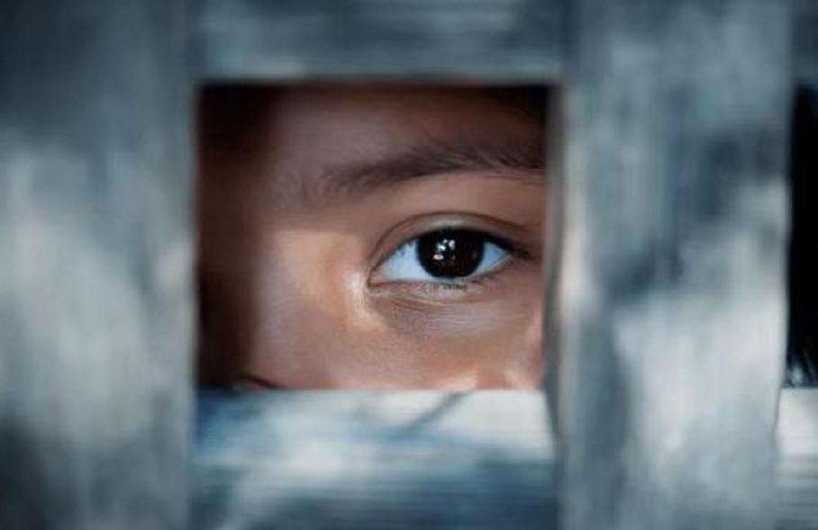 荷兰合法化的新政策,荷兰宣布性合法后遗症