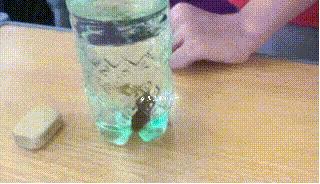 现在女大学生太开放,这么隐私的东西露在外面,男人看了都脸红了